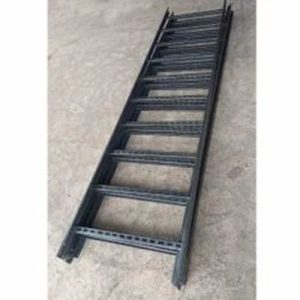 MS Ladder Cable Tray-p