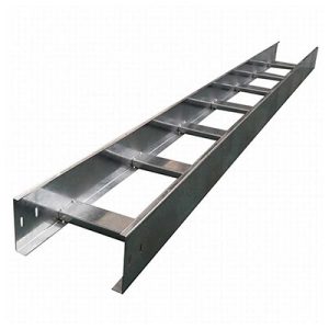 SS Ladder Type Cable Tray-p